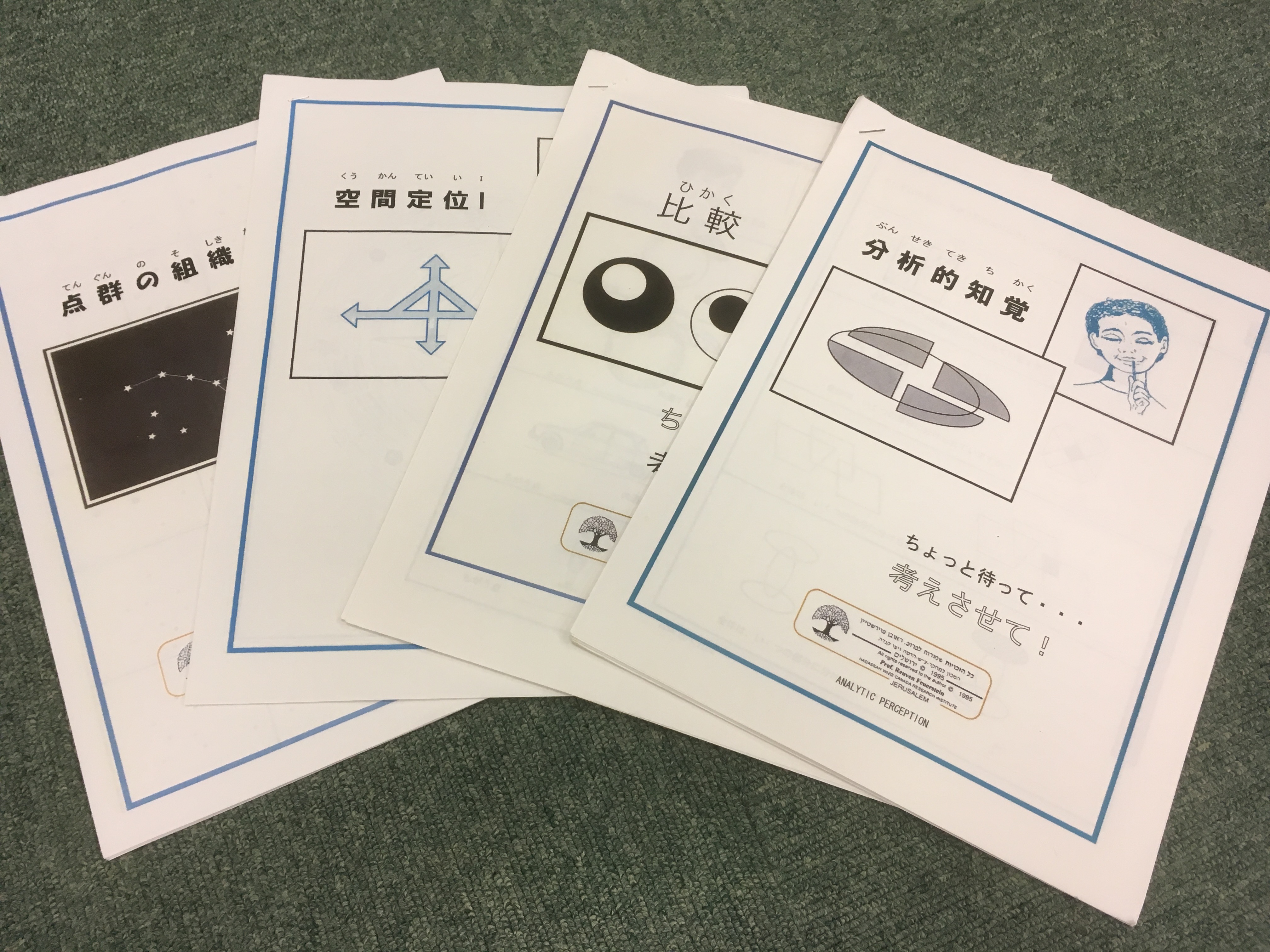 実物提示教育　３枚 特別支援教育教材カタログ 2024-2025